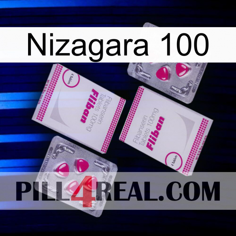 Nizagara 100 33